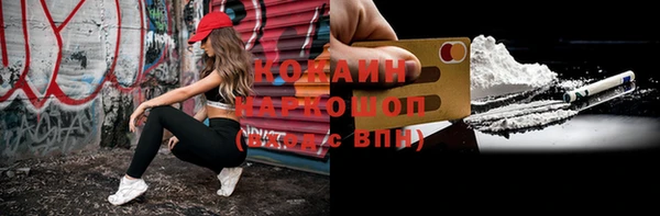 индика Алексин