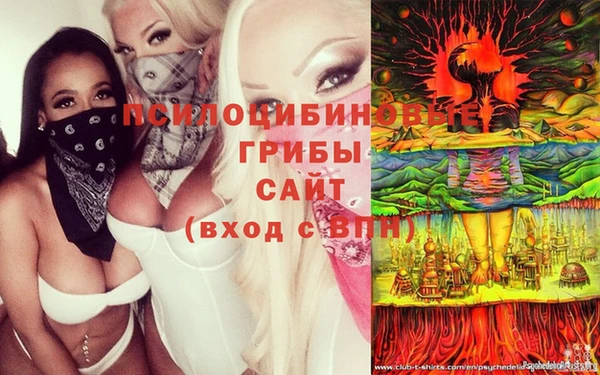 индика Алексин