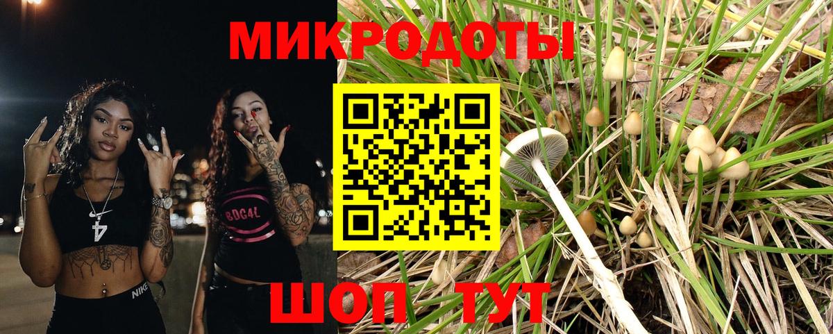 Галлюциногенные грибы Cubensis Дальнереченск