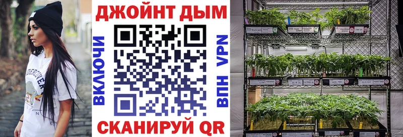 Конопля гибрид  Дальнереченск 
